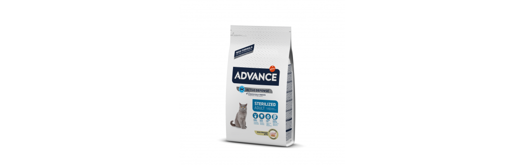 Advance Cat
