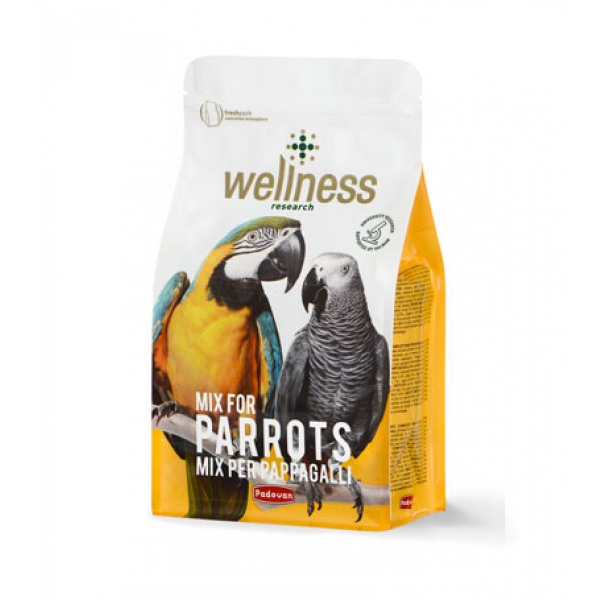 Hrana pentru papagali yako, ara, amazon, Wellness 750 gr